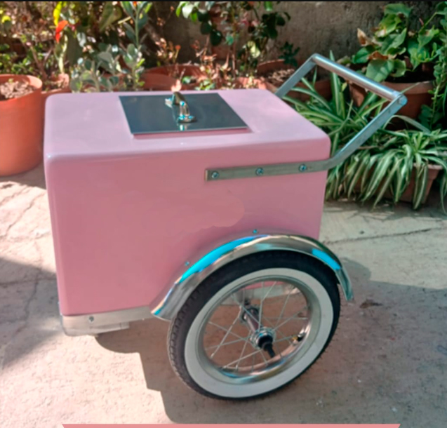 En Carros Paleteros Plasticar encontrar&aacute;s cajas paleteras de diferentes capacidades y modelos! Cualquier modelo incluye cartuchos. El color es a su elecci&oacute;n! .